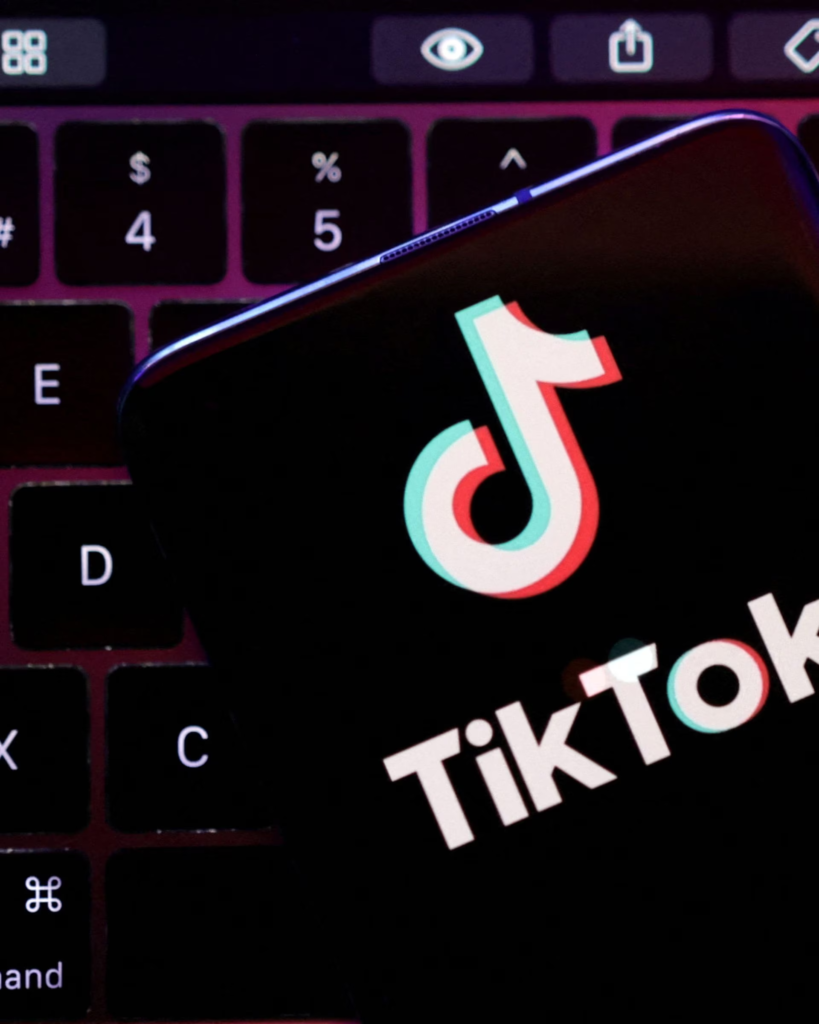 Why TikTok is being Banned in Multiple Countries - Digital Street